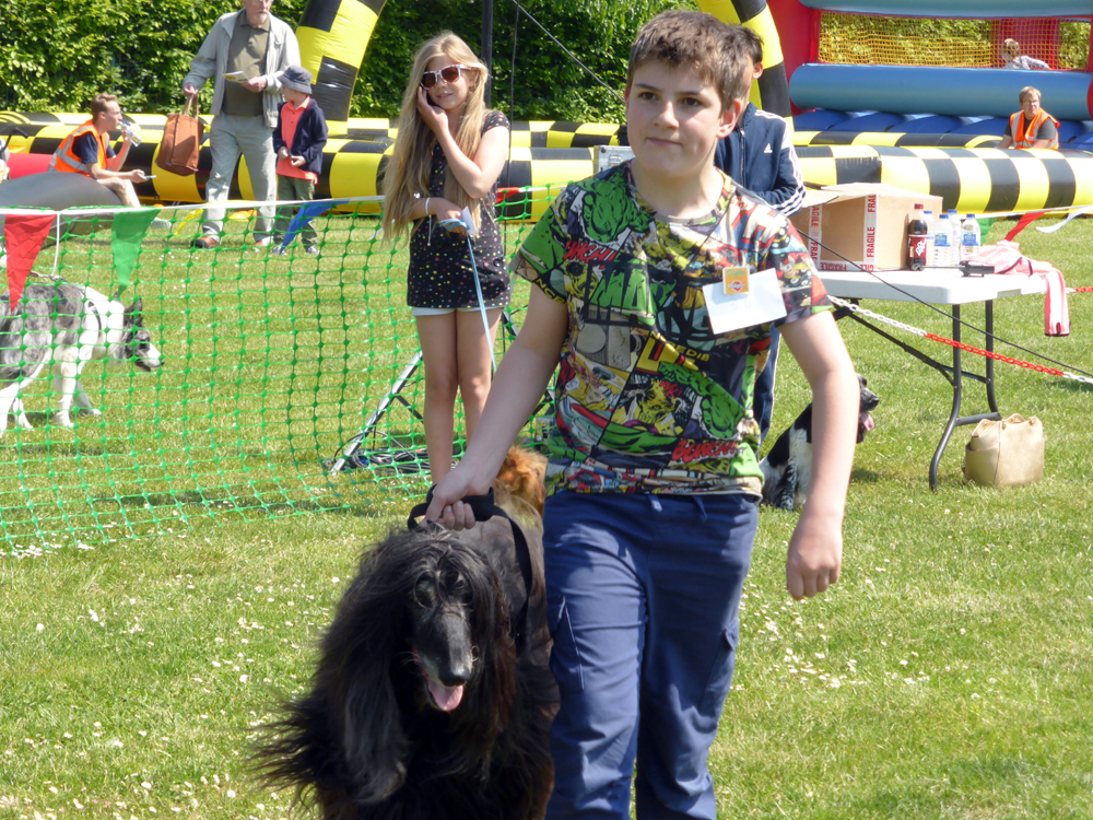 Dog Show 05