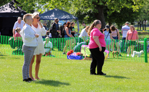 Dog Show 01