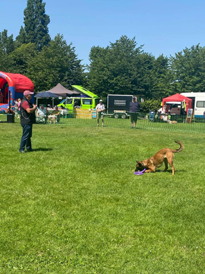 SF Dog show_20_170721