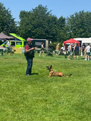 SF Dog show_24_170721